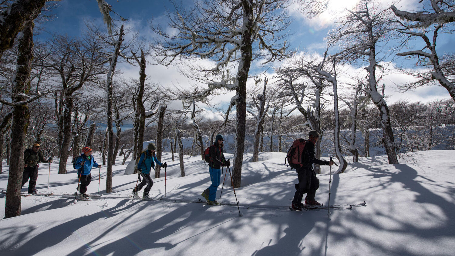 PlaceholderImage1302